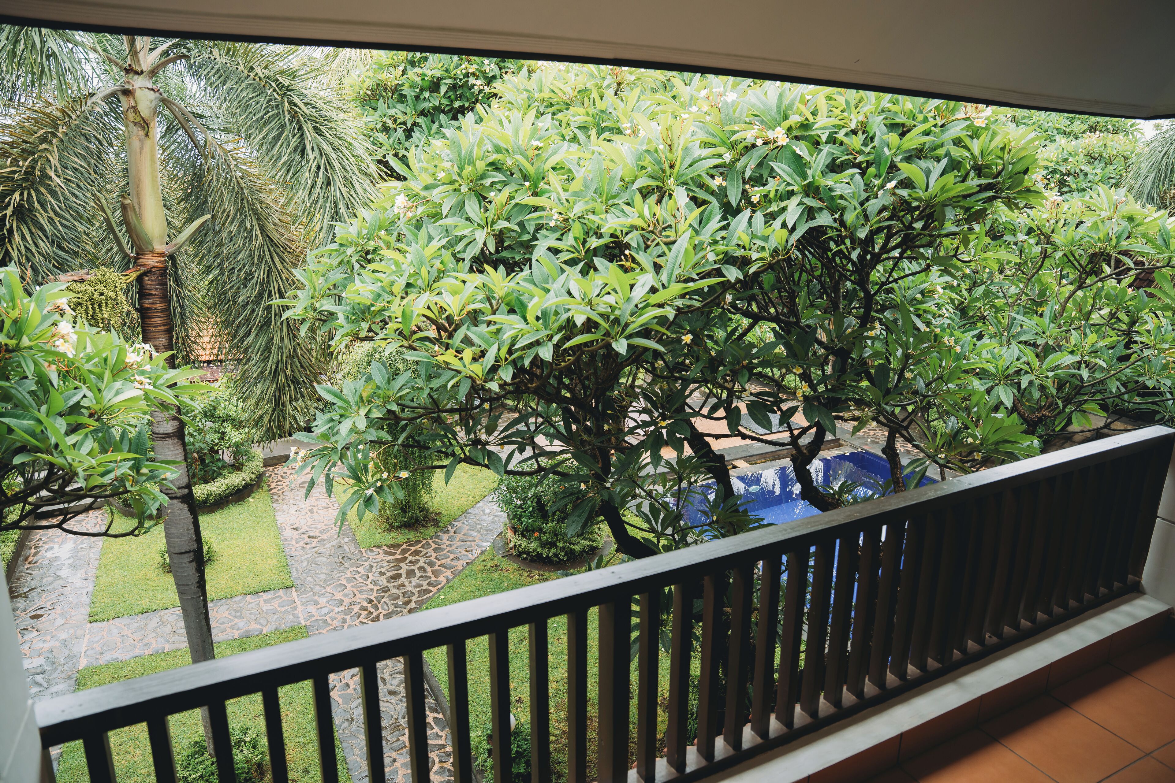 Un balcón con vista a un jardín con diversas plantas y una palmera.