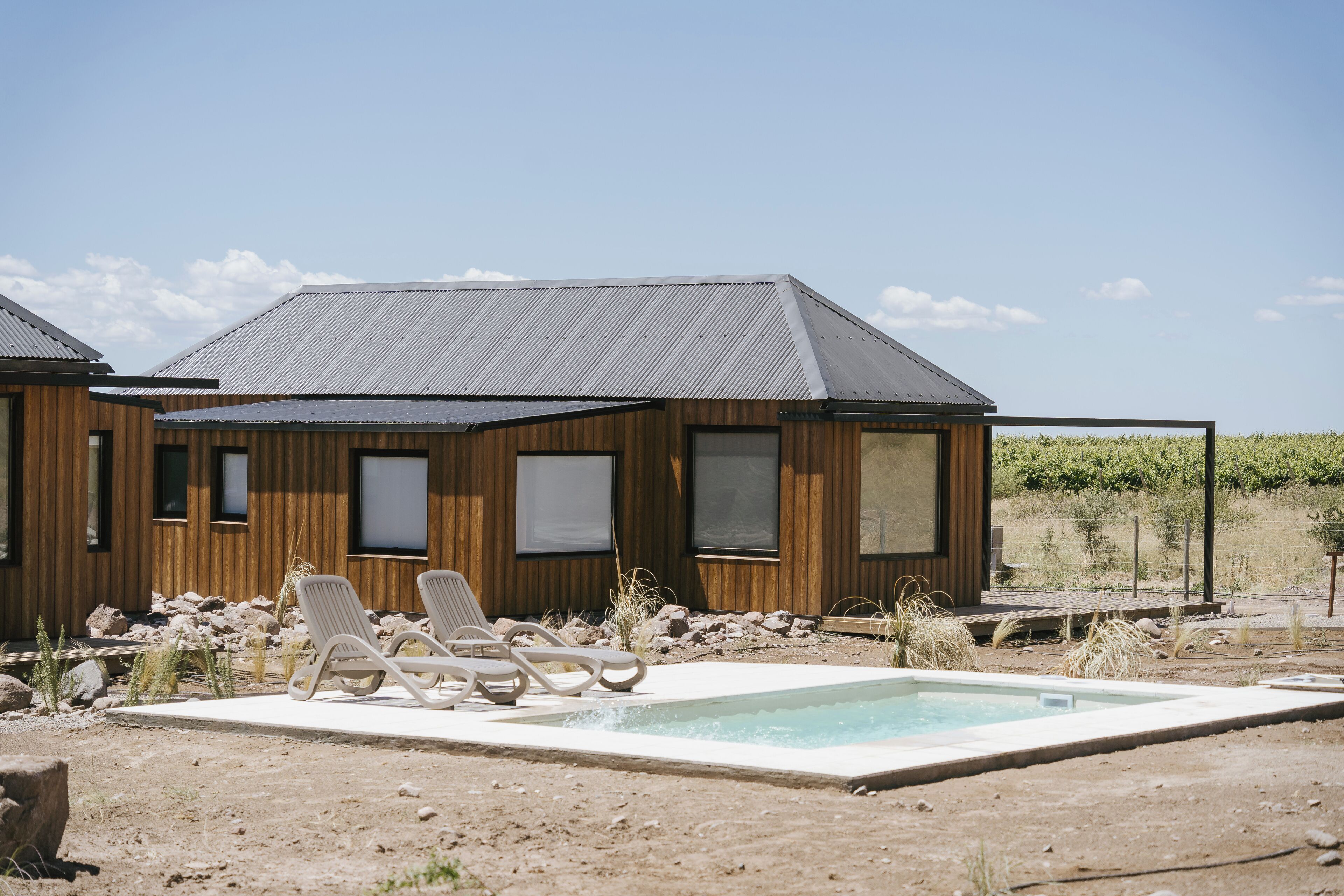 A modern house with a swimming pool, lounge chairs, and a vineyard in the background.