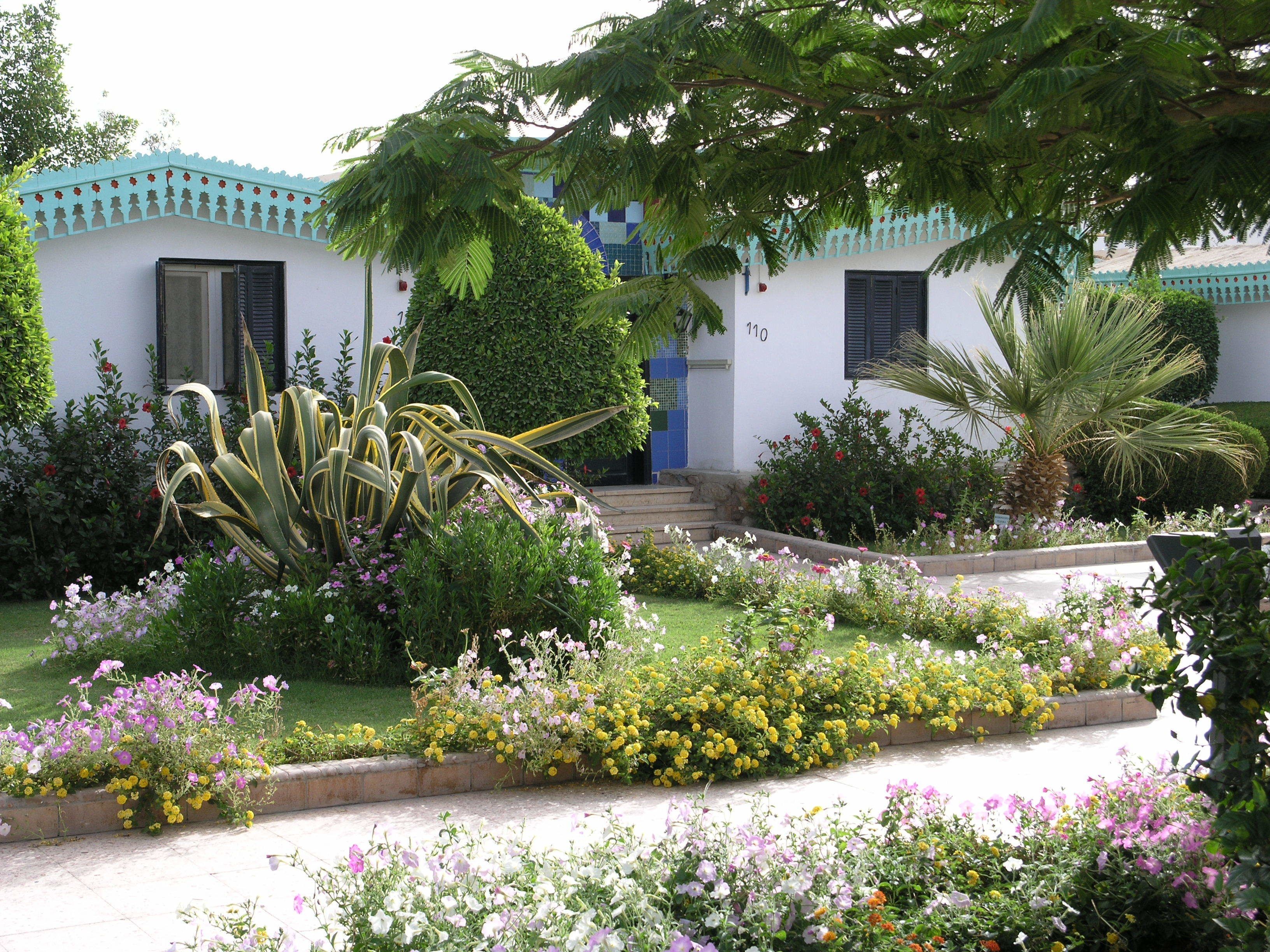 Foto - Ghazala Beach