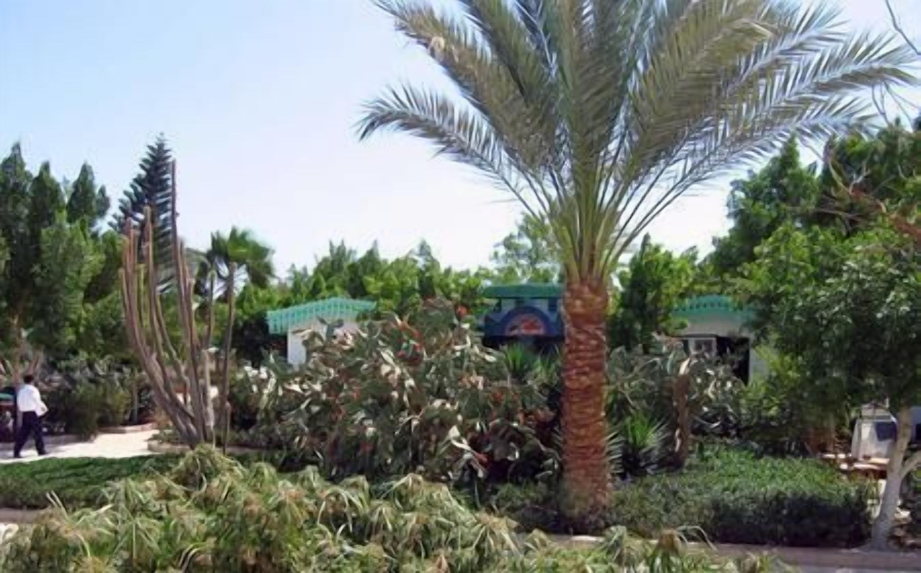 Foto - Ghazala Beach