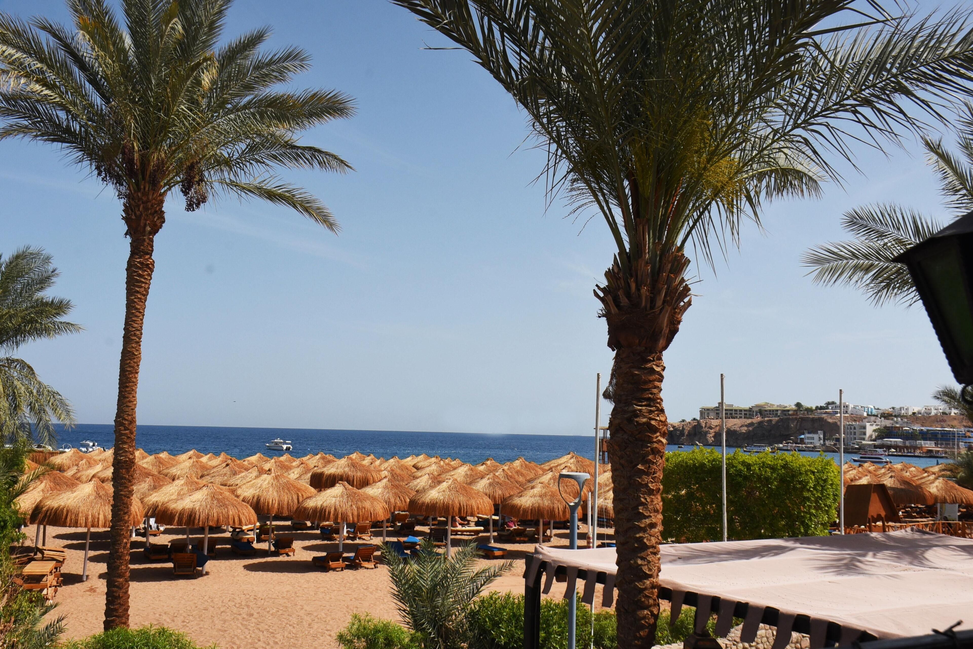 Foto - Ghazala Beach