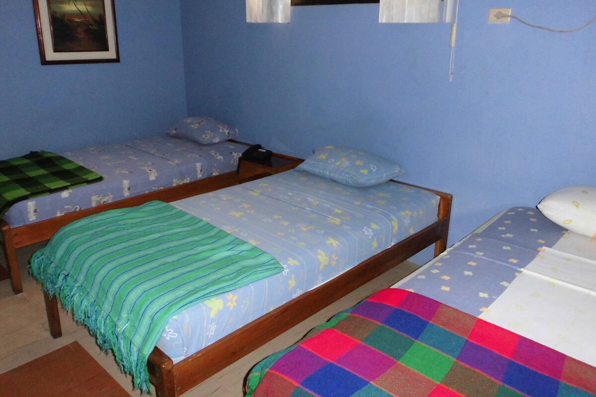 A room with two single beds, a wooden headboard, a green striped blanket on one bed, and a colorful checkered blanket on the other.
