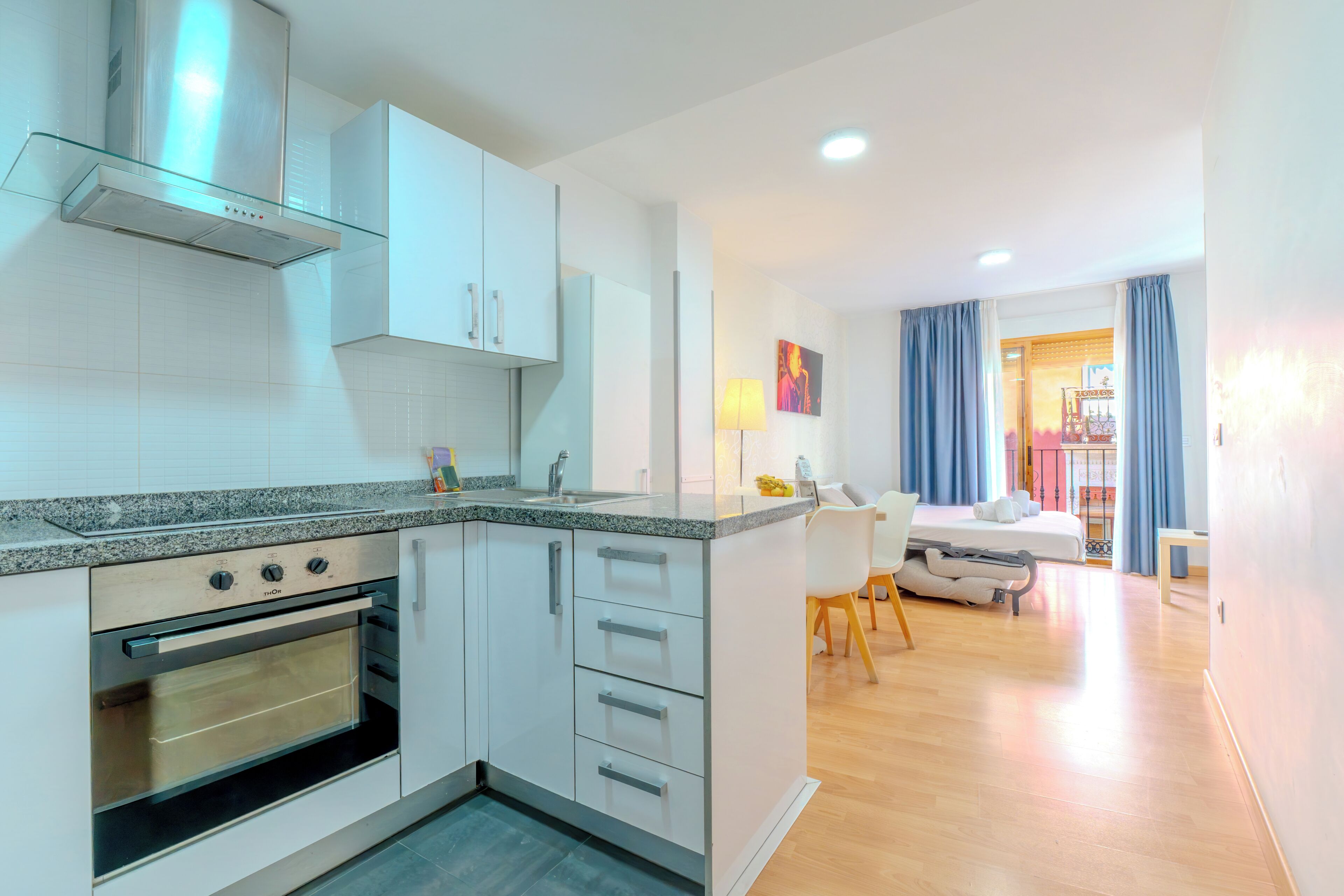 Apartamento, 1 habitación | Cocina privada | Frigorífico grande, microondas, horno y placa de cocina