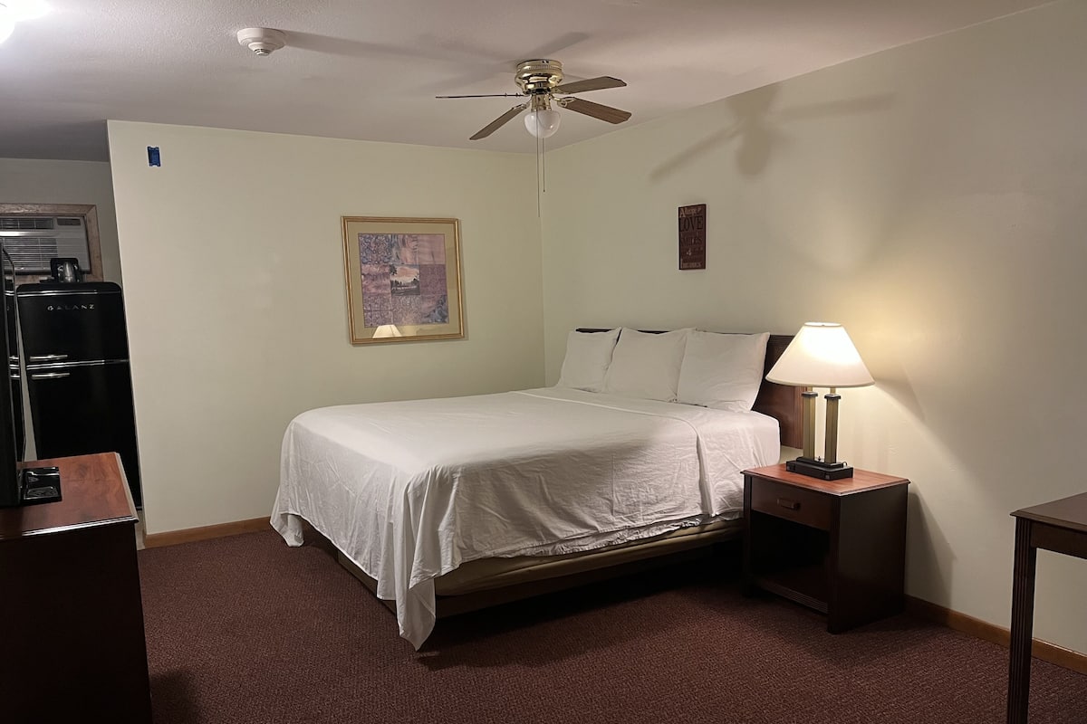 Une chambre d’hôtel avec un lit, un ventilateur de plafond, une table de chevet avec une lampe, un tableau encadré au mur et un réfrigérateur.