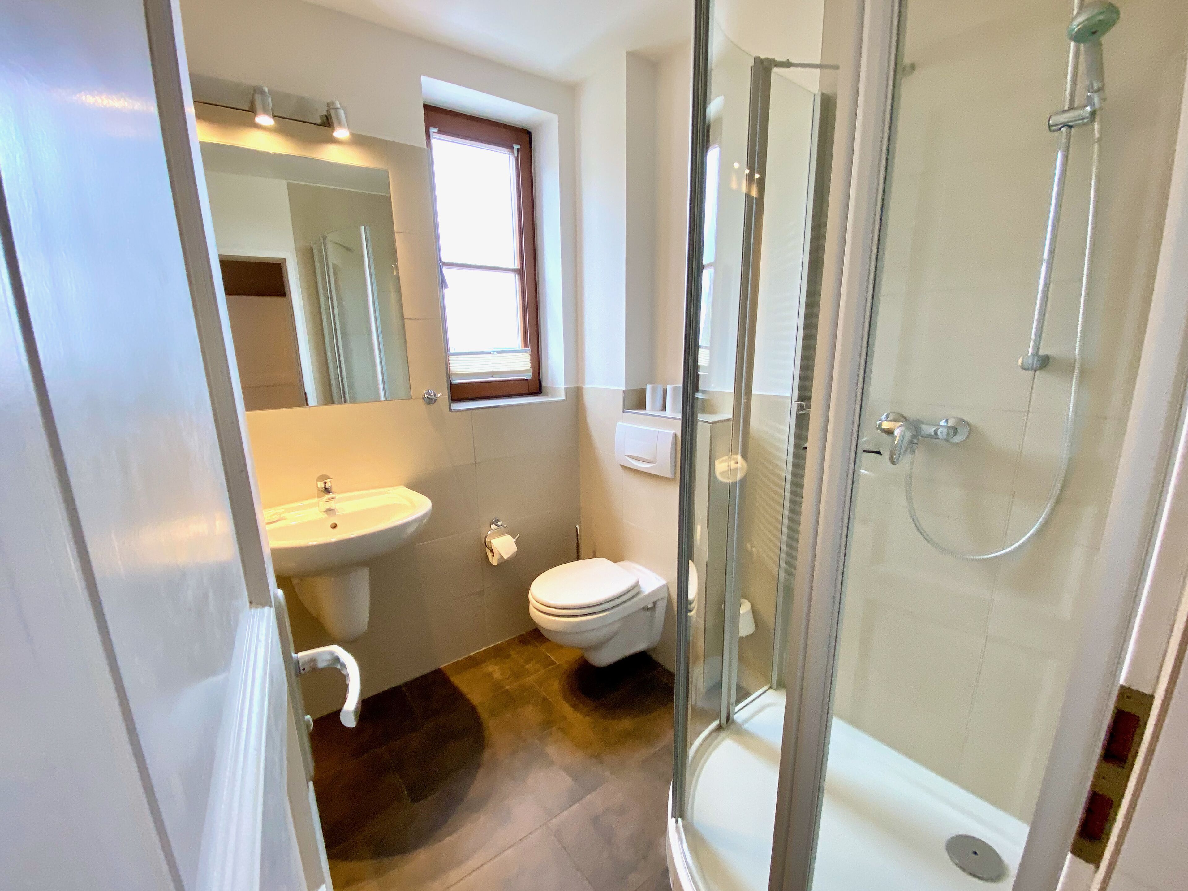 A bathroom with a glass-enclosed shower, a sink, a toilet, and a mirror.