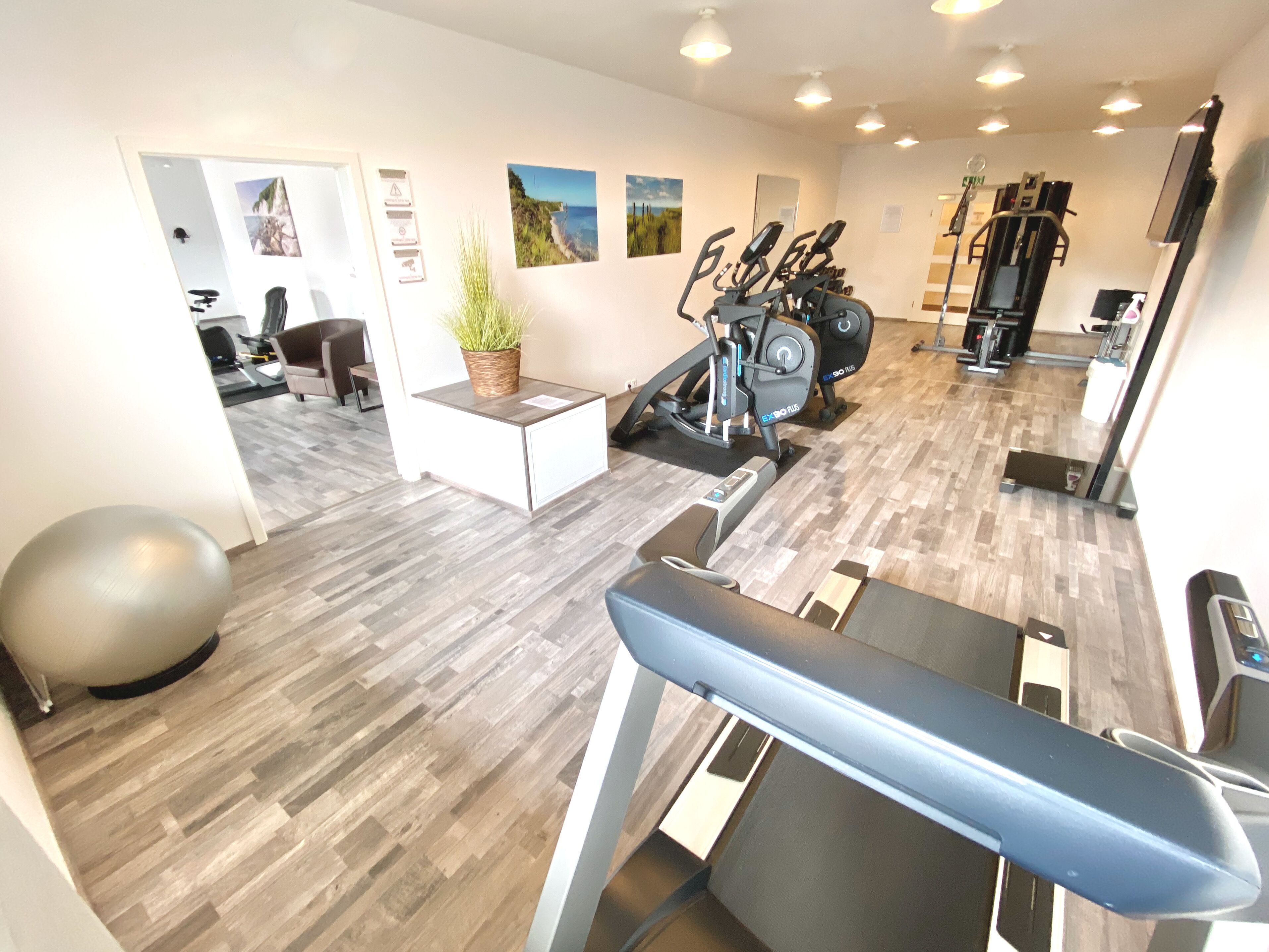 A gym with exercise equipment, a treadmill, and a small table with a plant.
