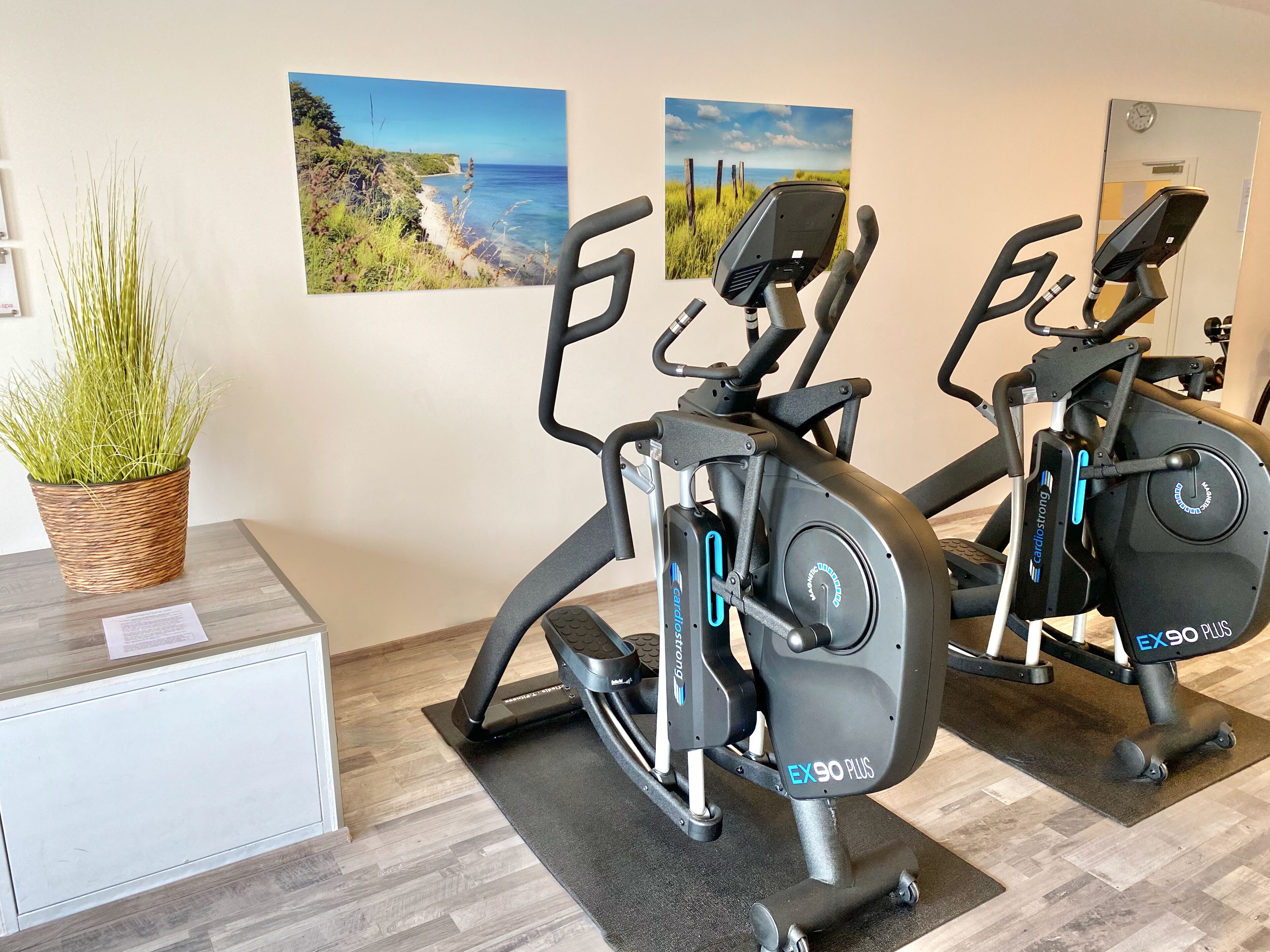Deux appareils de musculation cardiovasculaire, une plante en pot et deux tableaux représentant des paysages accrochés au mur.