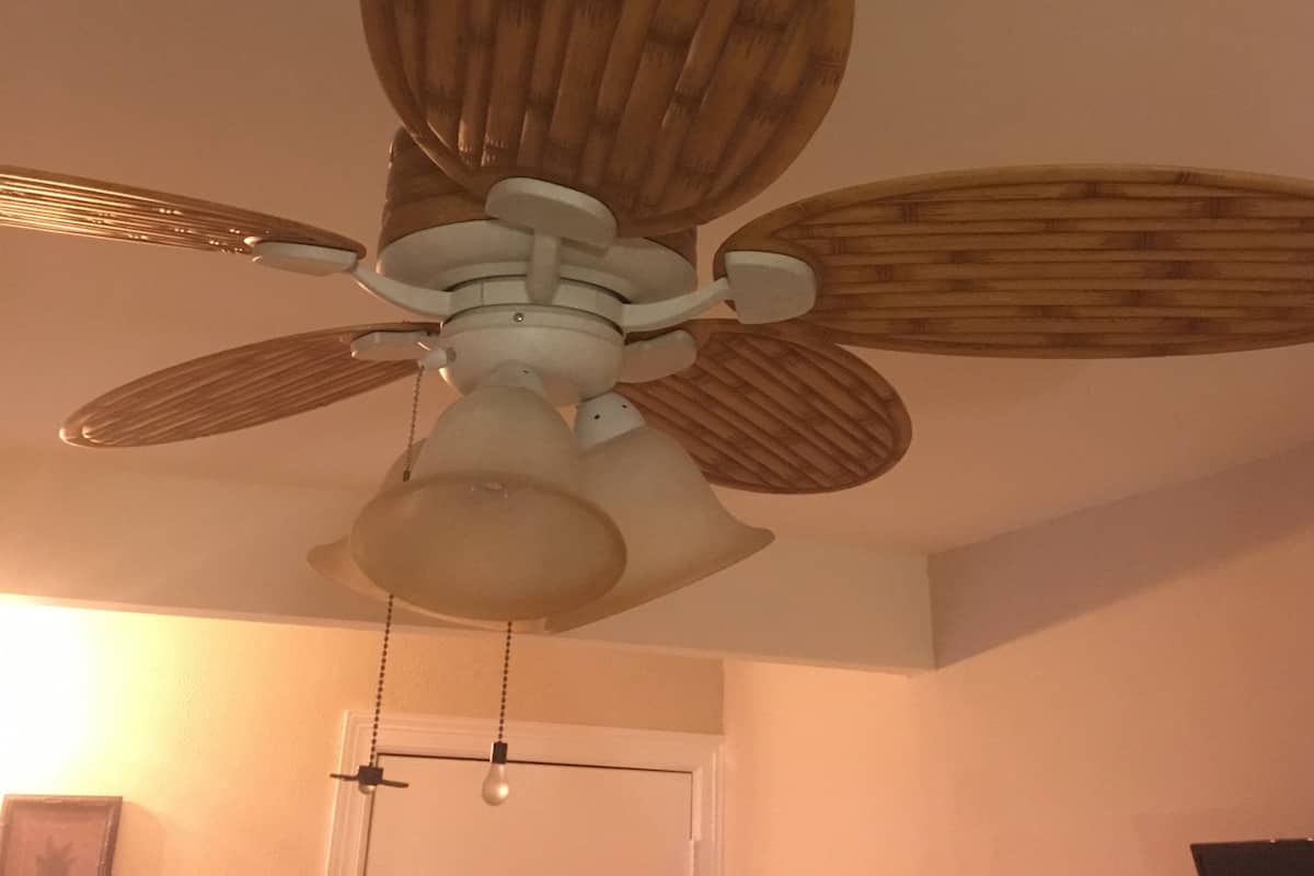 Tropical Room | 高級寢具、免費無線上網、獨特裝潢、布置獨特