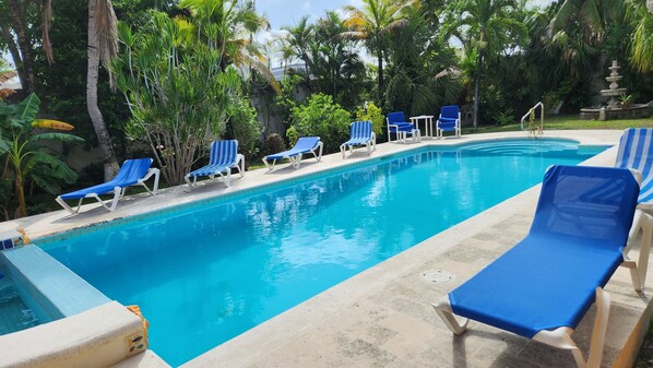 Outdoor pool, sun loungers