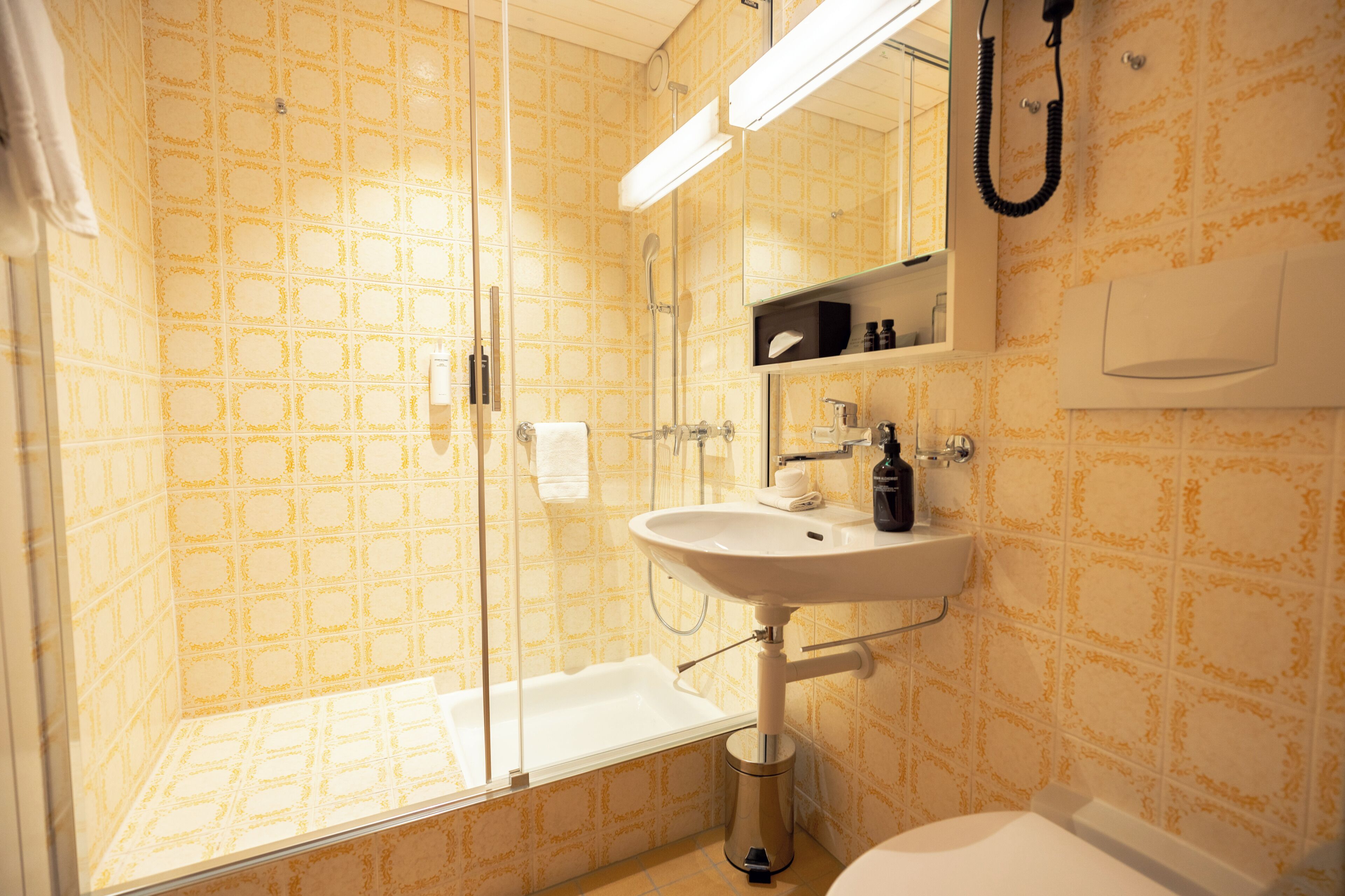 Une salle de bain équipée d’une douche, d’un lavabo, d’un miroir et de toilettes.