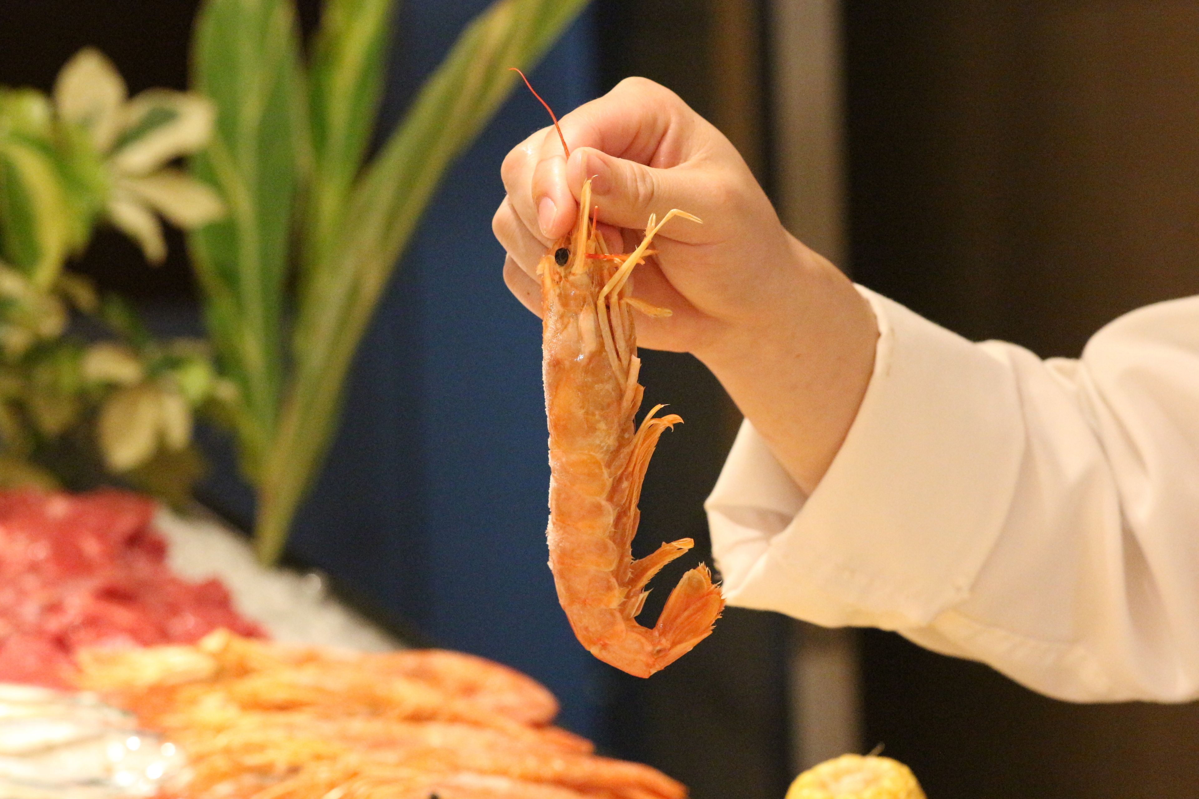 A hand holding a cooked shrimp.