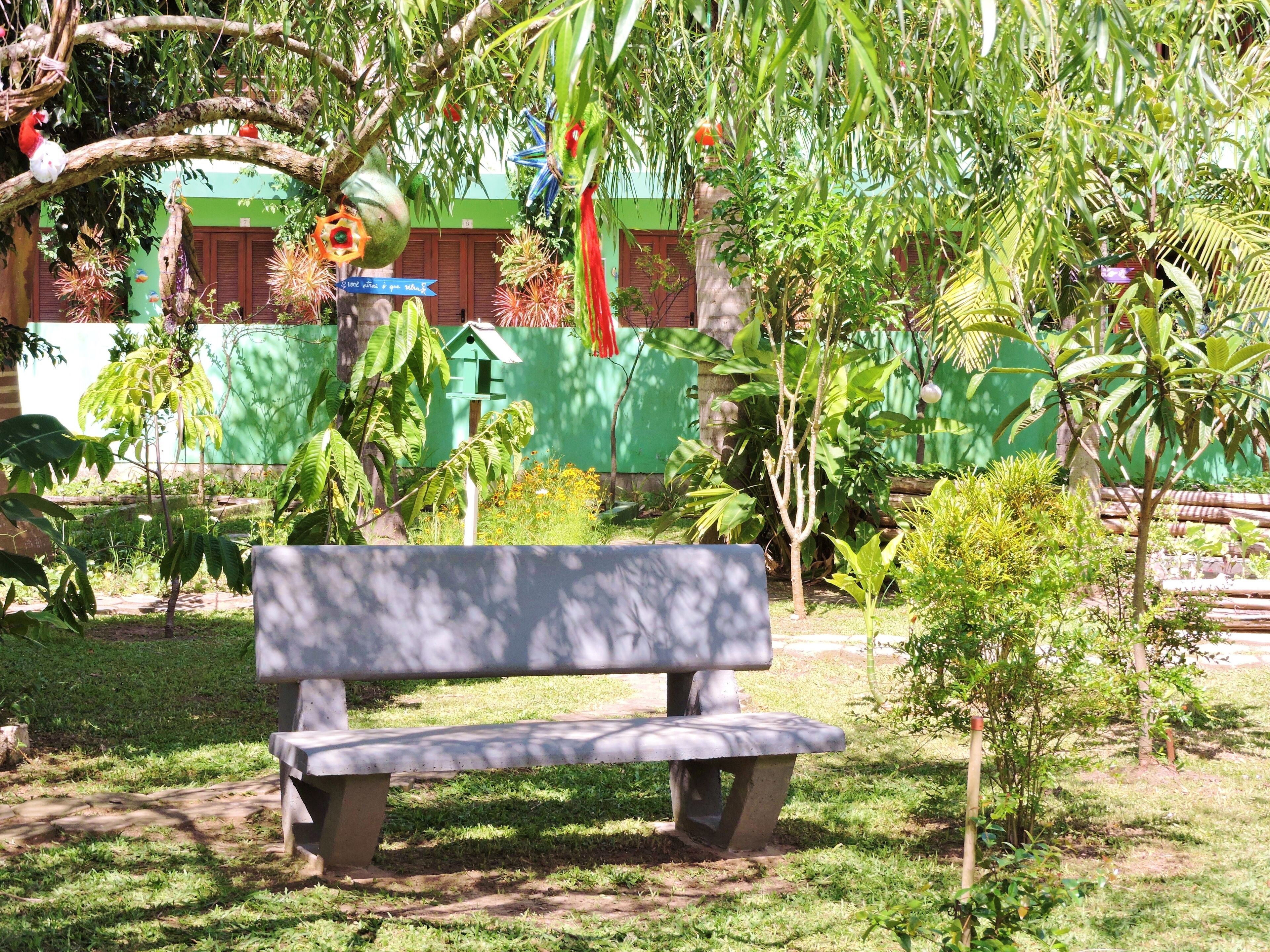 A park bench surrounded by lush greenery and a variety of plants.