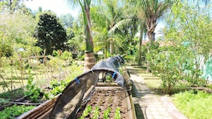 Un jardín con jardineras elevadas, valla de bambú y diversas plantas.