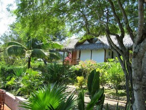 Exterior - Hostería La Terraza (Puerto Lopez)