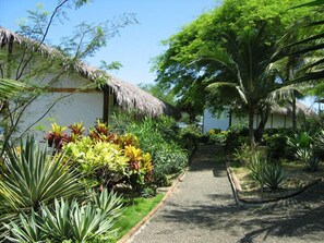 Property grounds - Hostería La Terraza (Puerto Lopez)