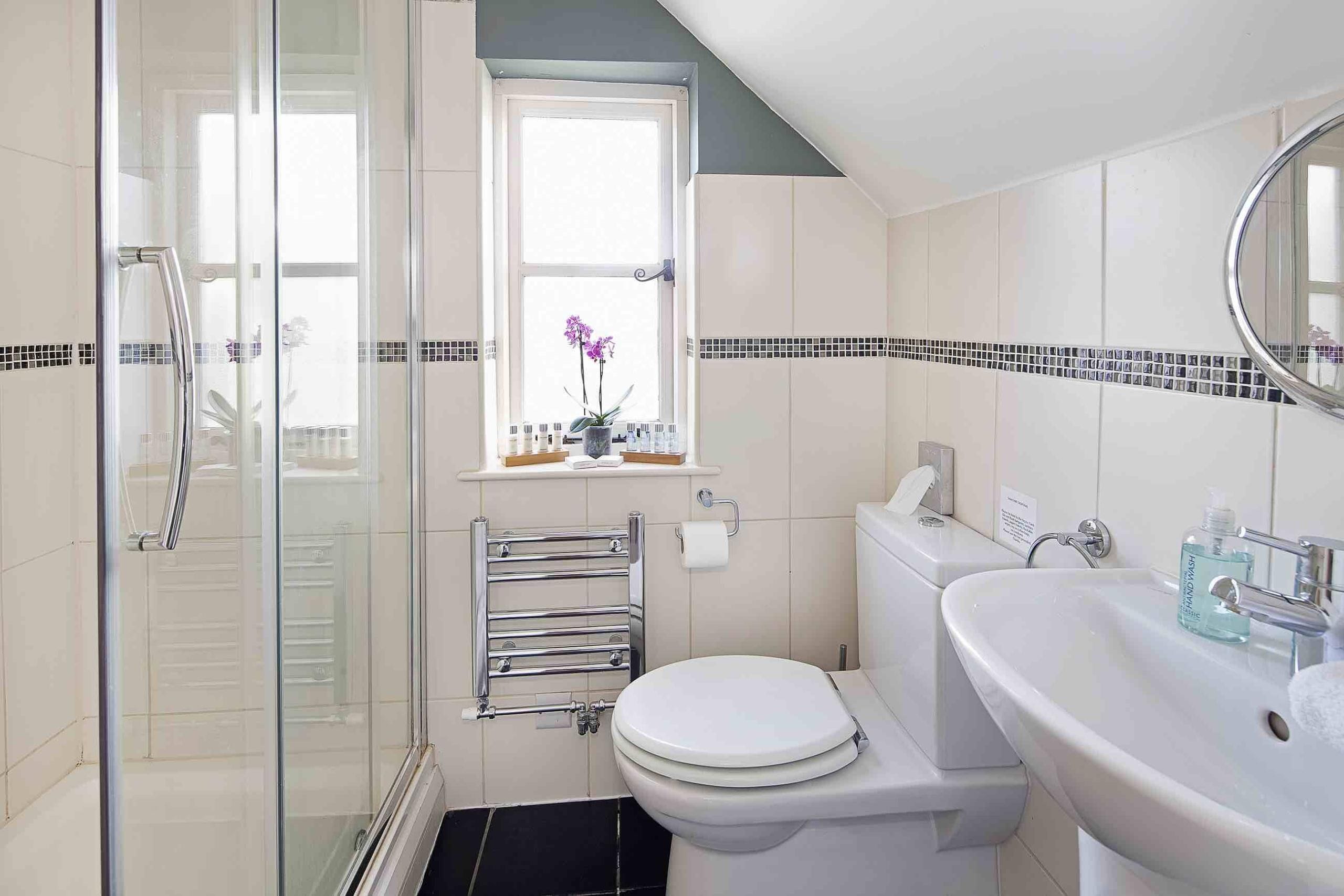 A bathroom with a glass shower enclosure, a toilet, a sink, and a window with a potted plant.
