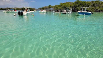 Un port de plaisance où sont amarrés plusieurs bateaux, une eau turquoise et limpide, et un paysage verdoyant en arrière-plan.