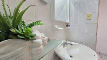 Un baño con lavamanos blanco, un espejo y una planta en maceta con hojas verdes.