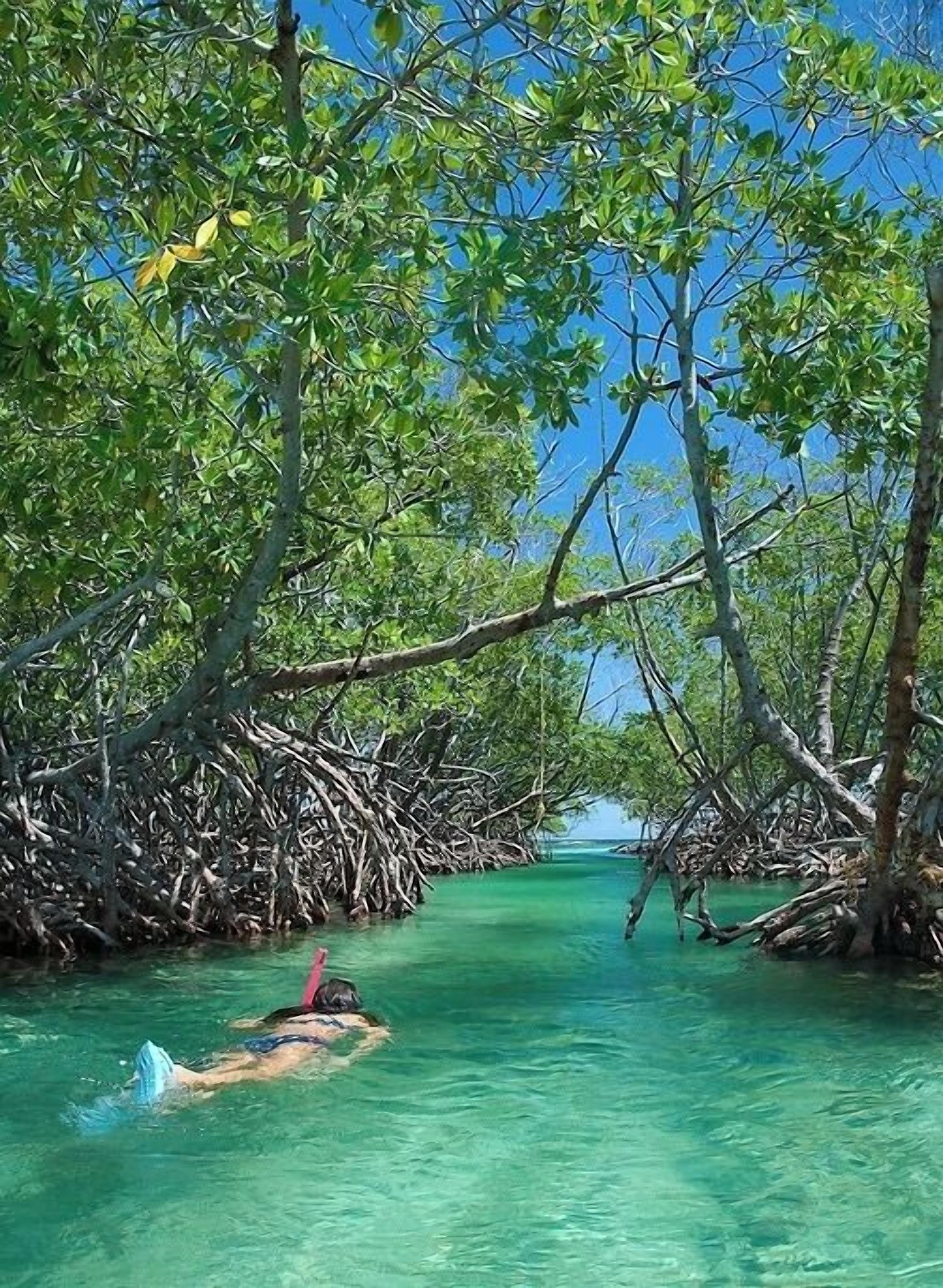 beach nearby, white sand