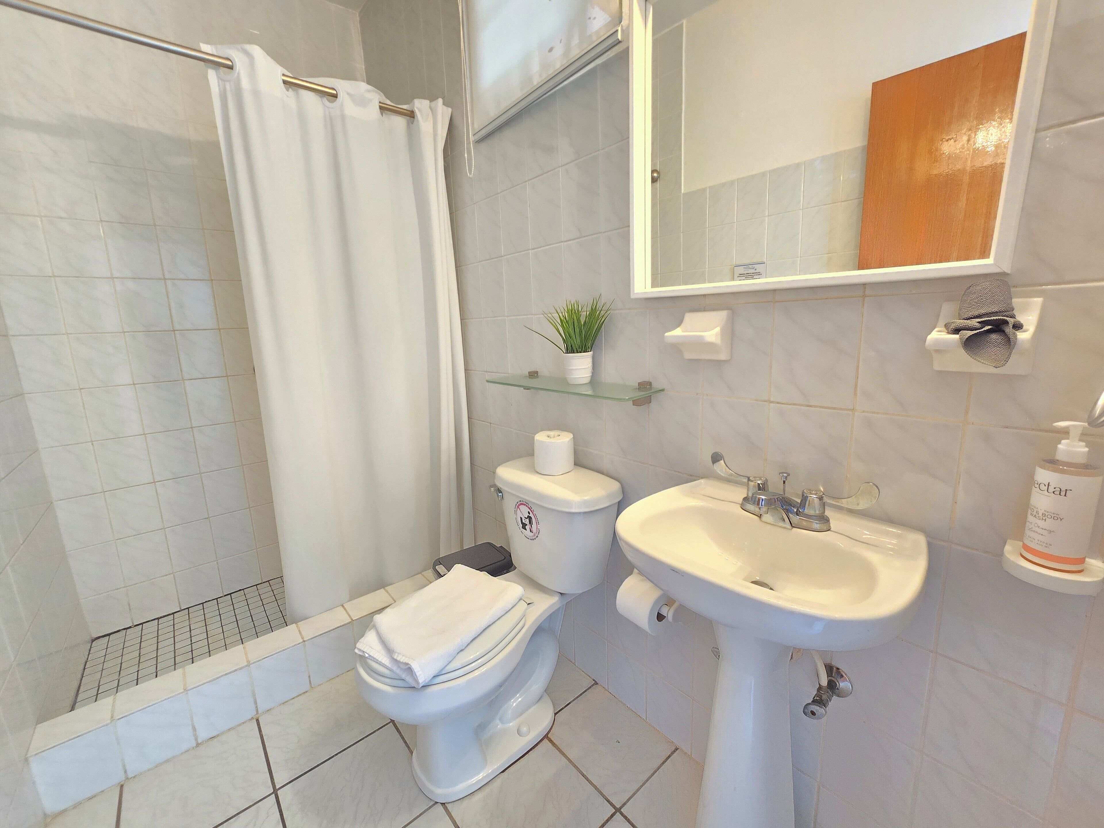 A bathroom with a shower, toilet, sink, and a mirror.