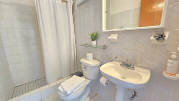 A bathroom with a shower, toilet, sink, and a mirror.