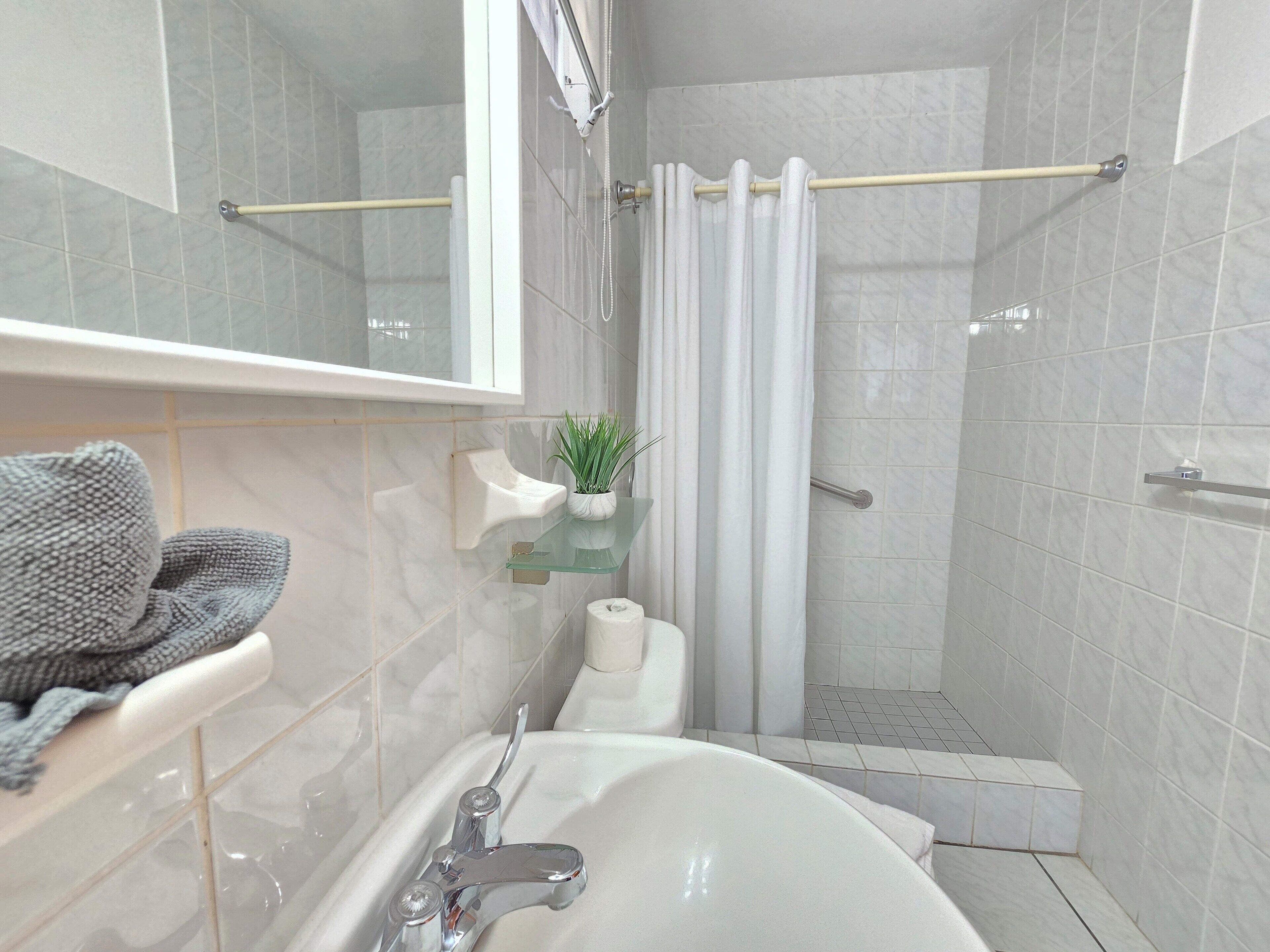 standard room, 1 king bed, non smoking, refrigerator | bathroom | shower, hair dryer, towels