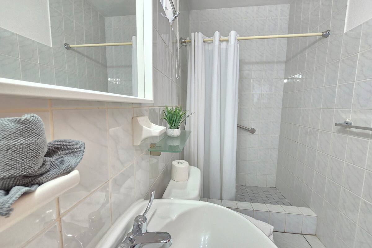 standard room, 1 king bed, non smoking, refrigerator | bathroom | shower, hair dryer, towels