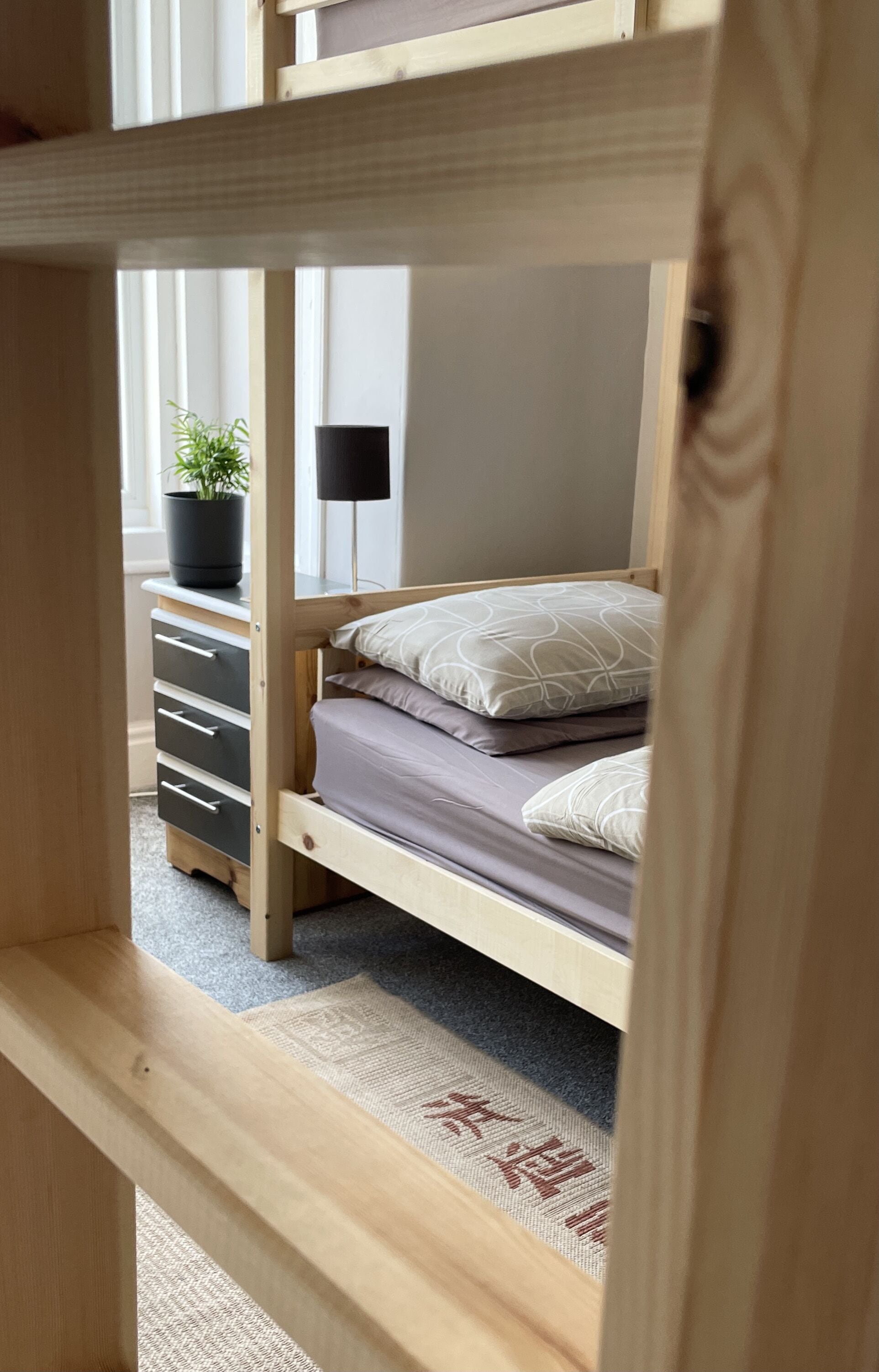 A bunk bed with a wooden frame, a dresser with drawers, a potted plant, a lamp, and a patterned rug.