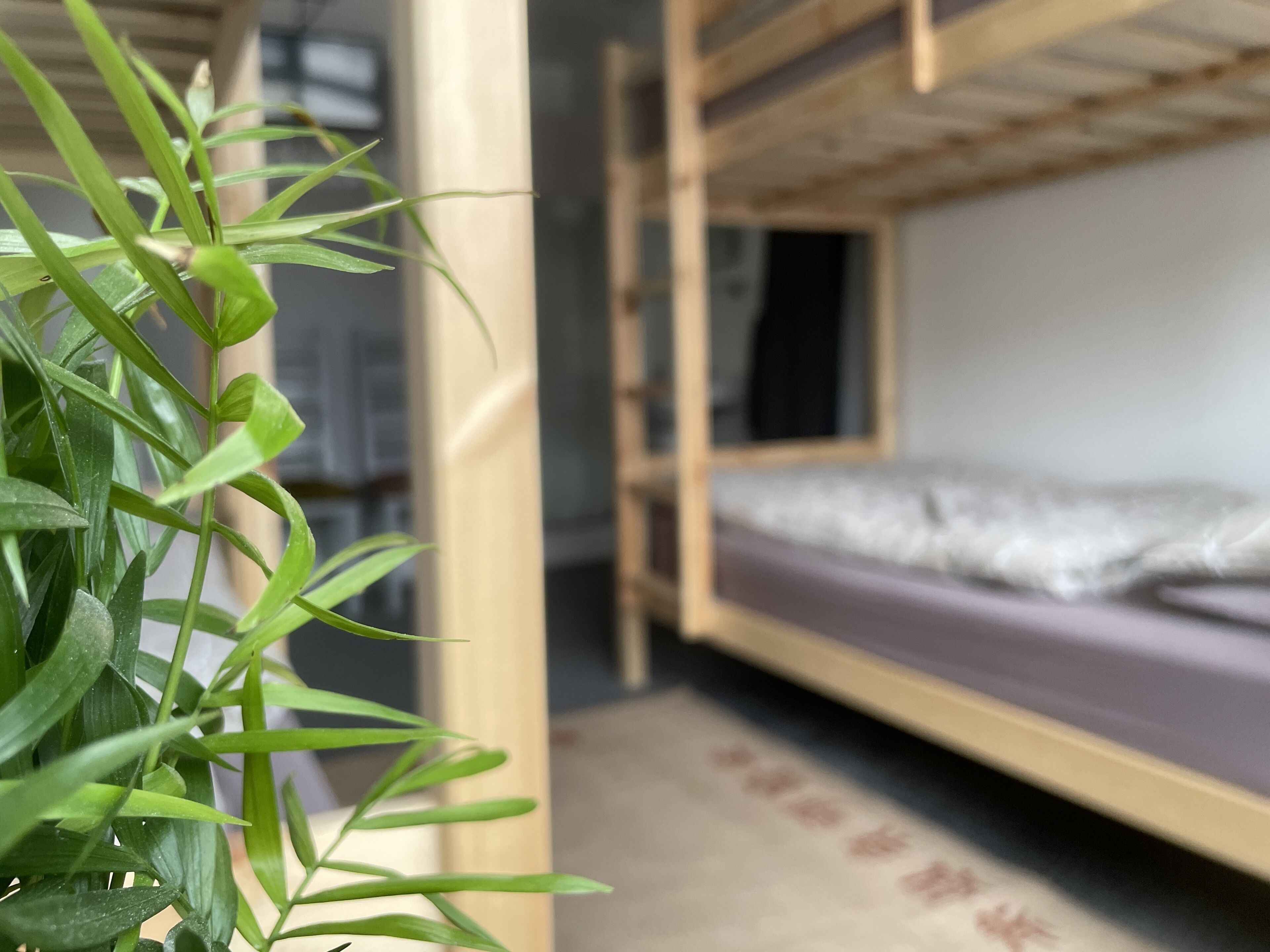 Ein Schlafraum mit Etagenbett aus Holz und einem Einzelbett.