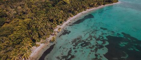 Beach nearby, sun loungers