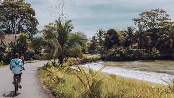 A paved path alongside a river with lush greenery and palm trees.