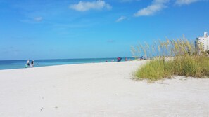Playa en los alrededores