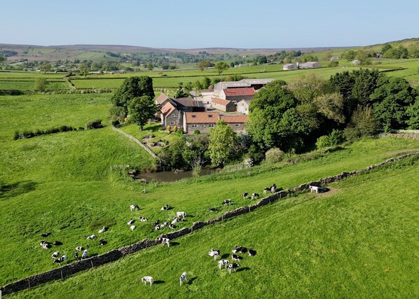 A rural landscape with a house surrounded by fields and a stone wall. - Church House Farm (Whitby)