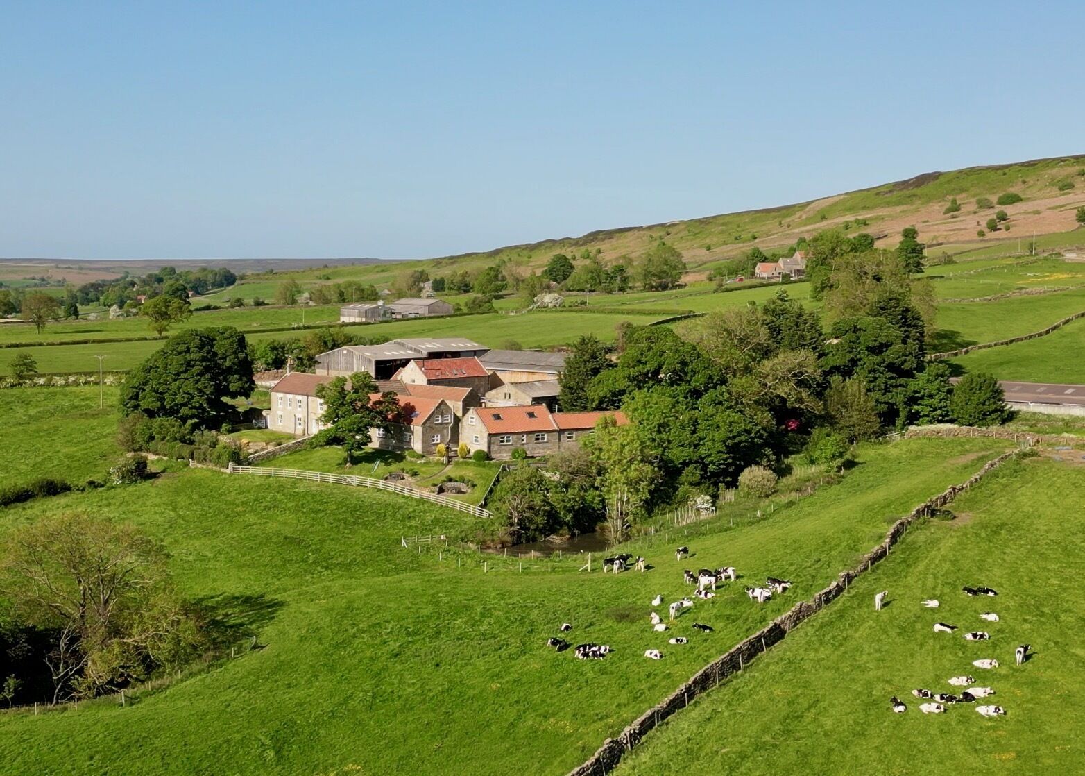 A rural landscape with a farm, barns, and grazing sheep.