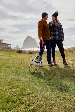 On the beach, free beach cabanas, sun loungers, beach umbrellas