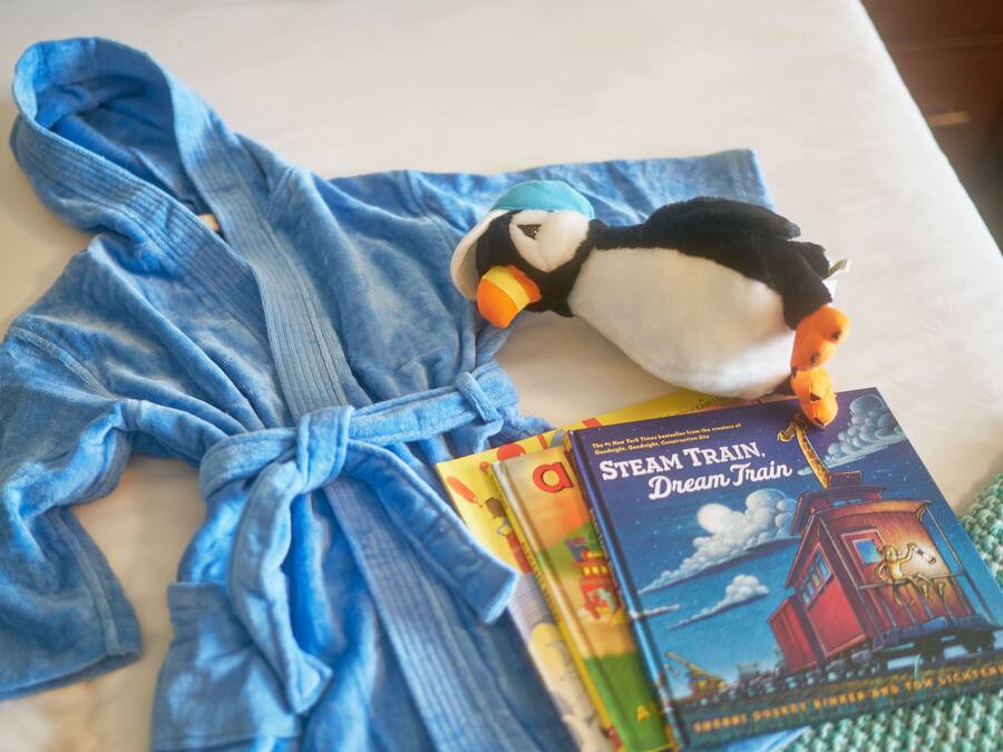A blue bathrobe, a plush toy, and a book titled "Steam Train, Dream Train" on a bed.