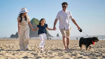 A family walking on a sandy beach with a dog.