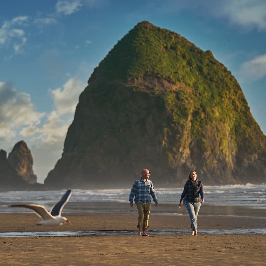 A beach with a large rock formation in the background and a seagull flying near the shore.