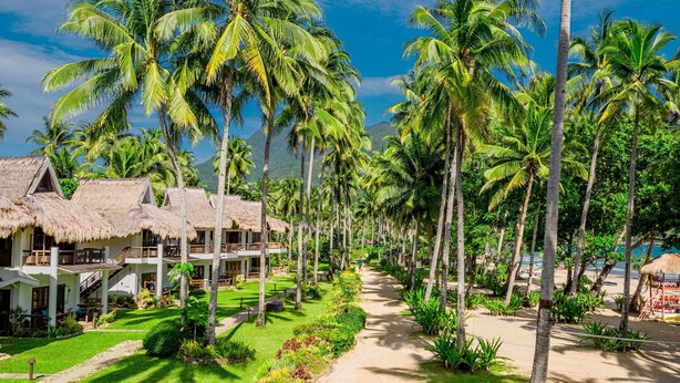 Een resort met rieten bungalows, een pad omzoomd met palmbomen en uitzicht op het strand.