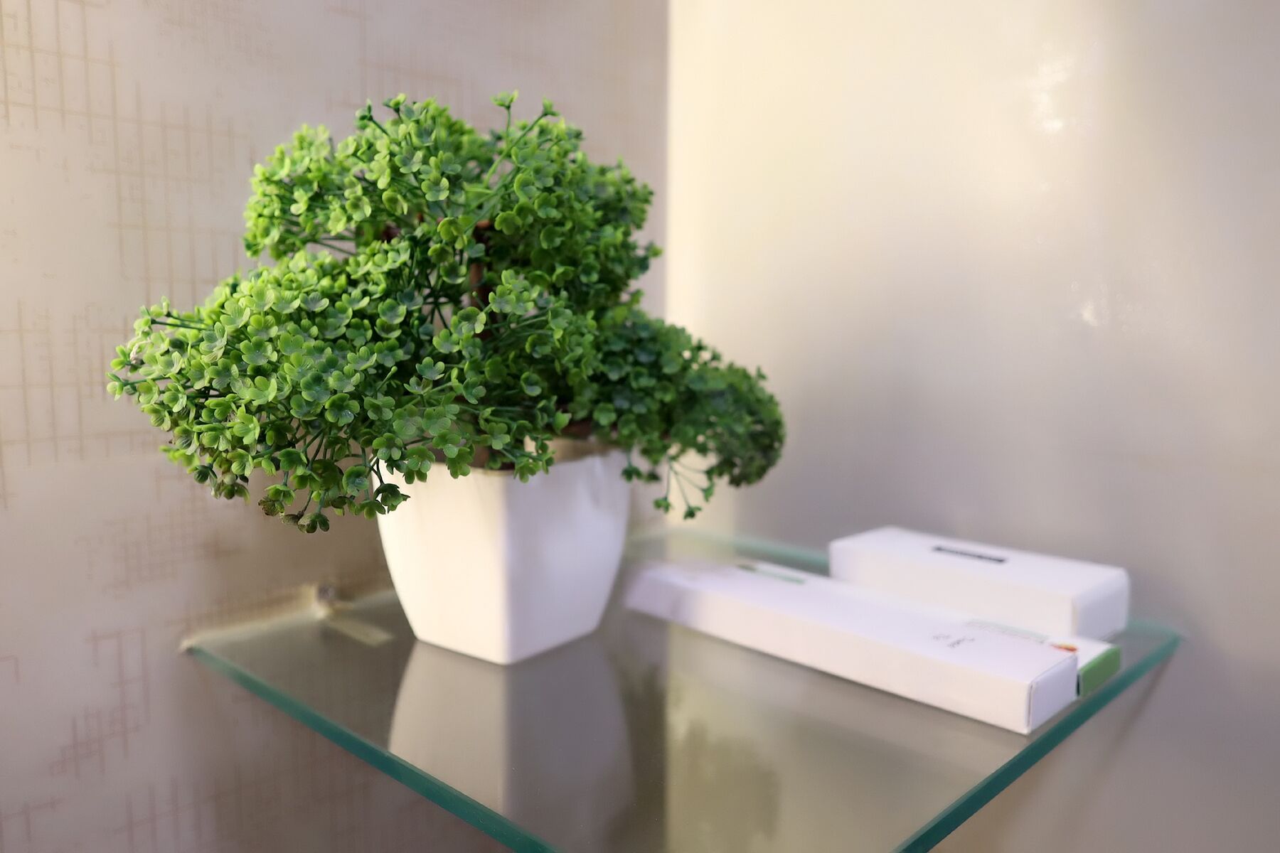 Une plante en pot, placée sur une étagère en verre, à côté d’un appareil électronique blanc.