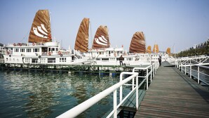 Un puerto deportivo con varios veleros amarrados, pasarelas de madera y cielo despejado.