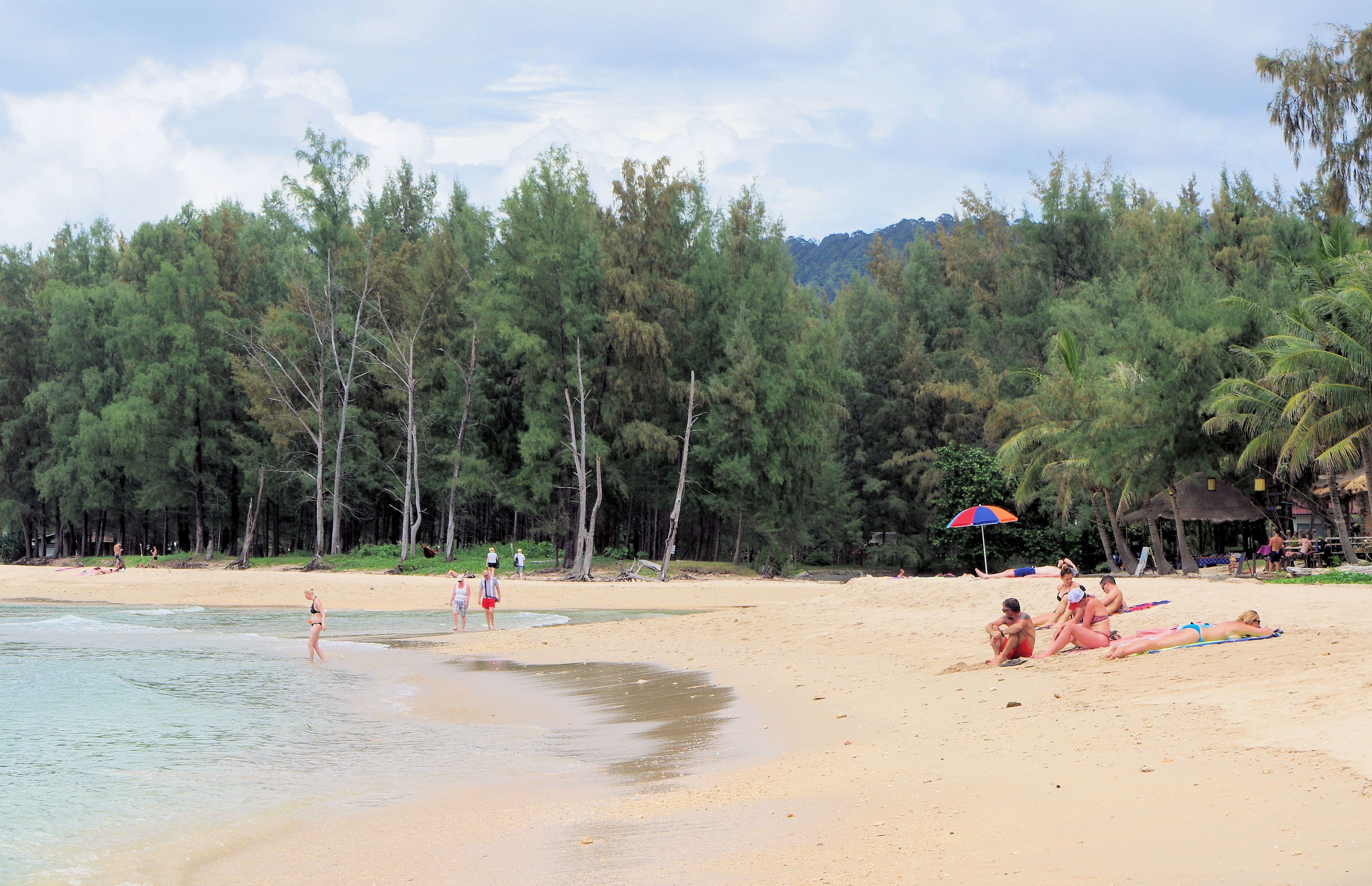 A beach with people sunbathing and swimming, surrounded by trees and a clear sky.