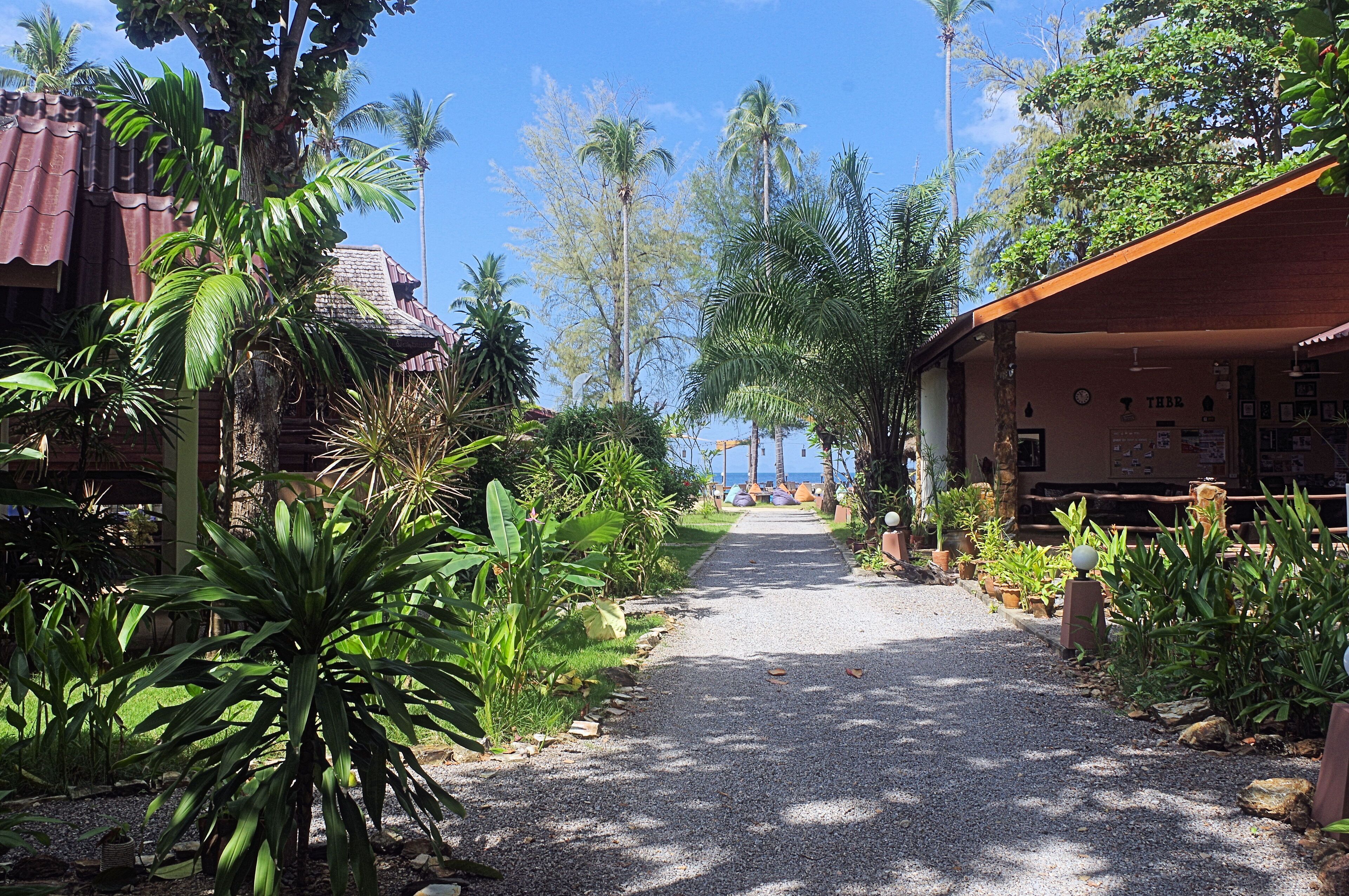 A pathway leading to a building with a tiled roof, surrounded by lush tropical vegetation and palm trees.