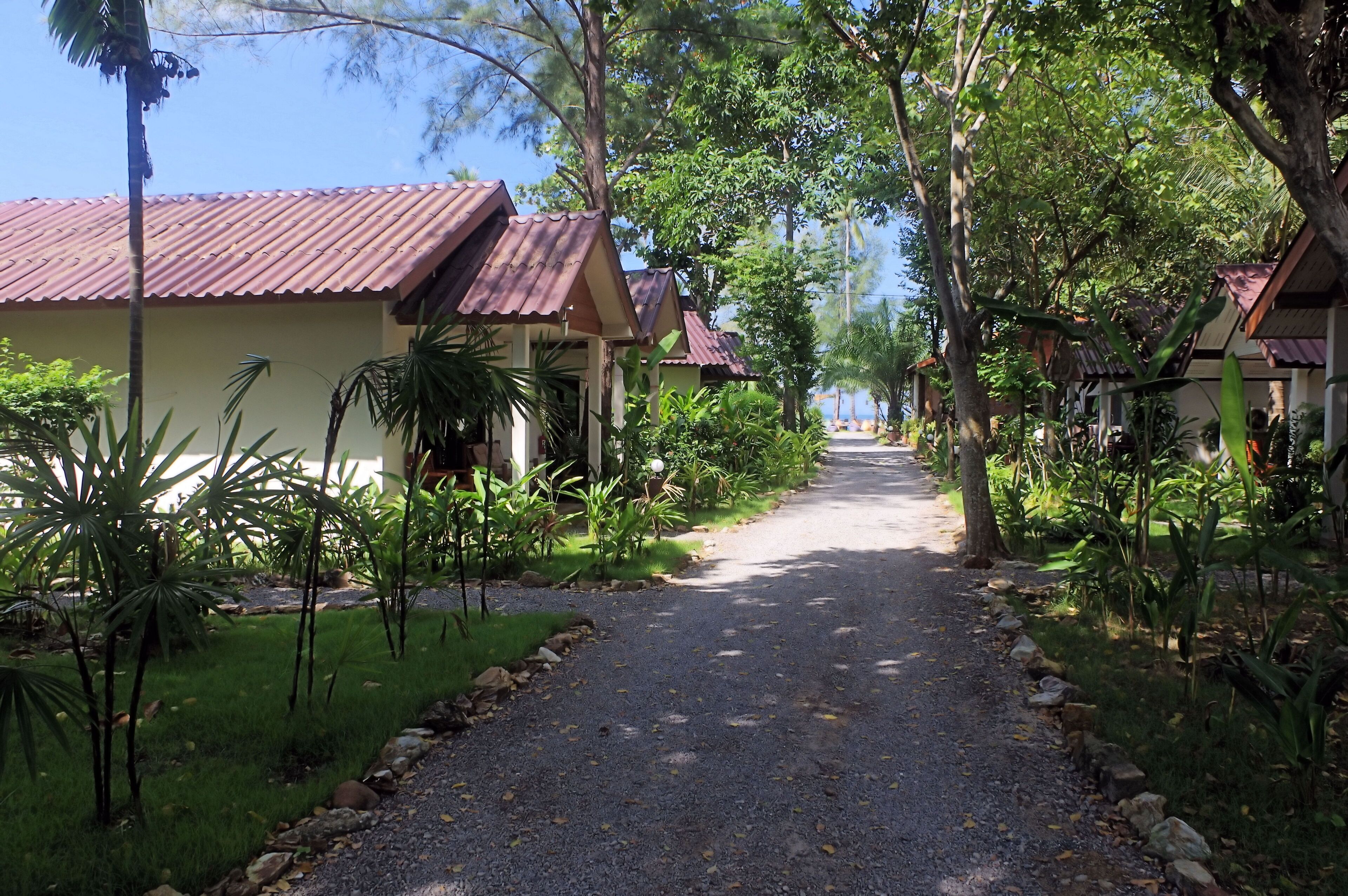 A pathway leading to a row of buildings with red roofs, surrounded by lush greenery and palm trees.