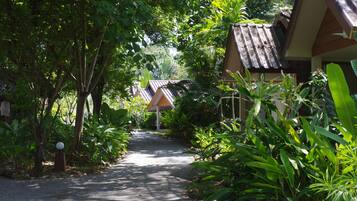 Jardim