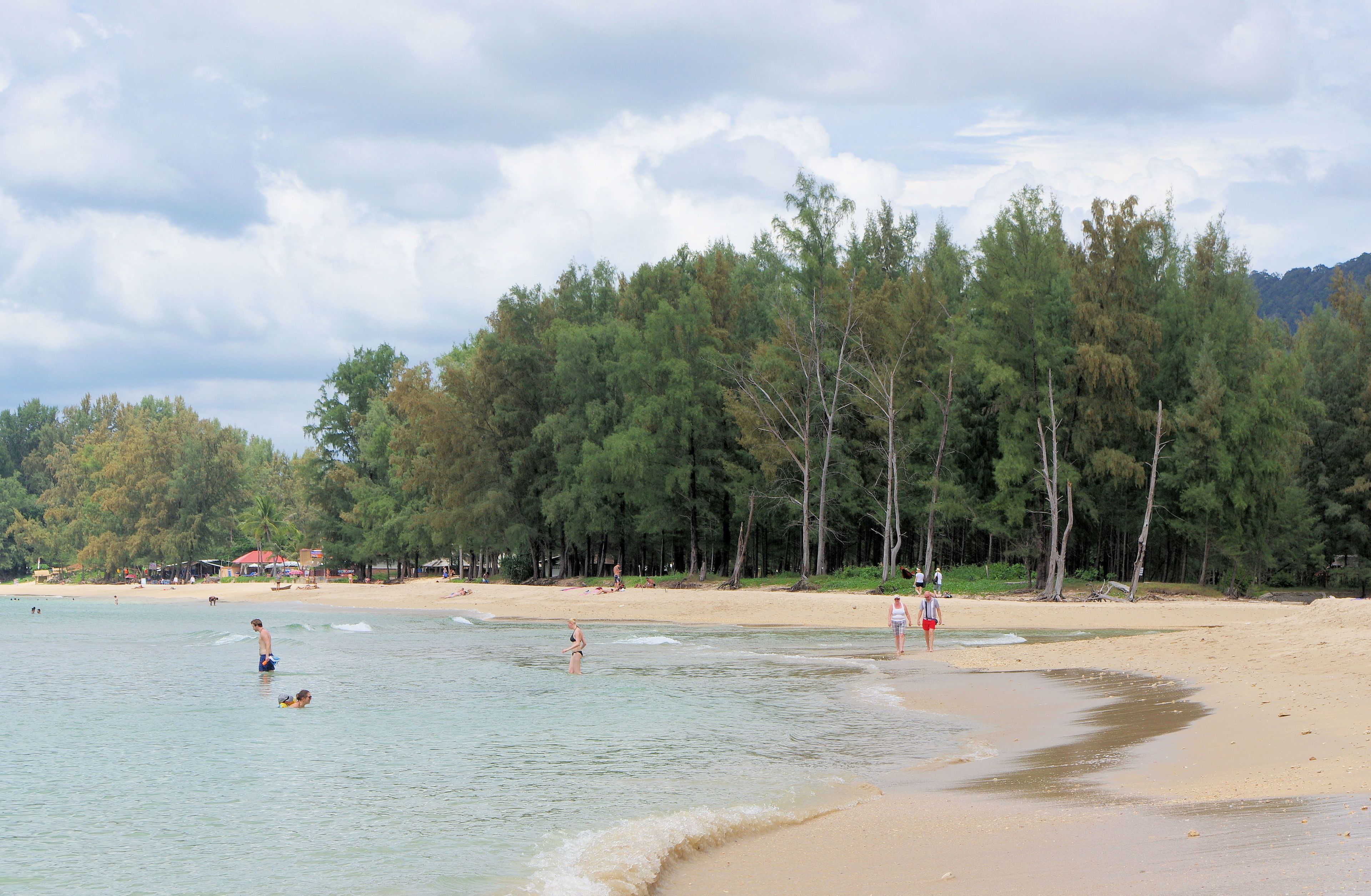 A beach with clear water, a sandy shore, and a forested area in the background.