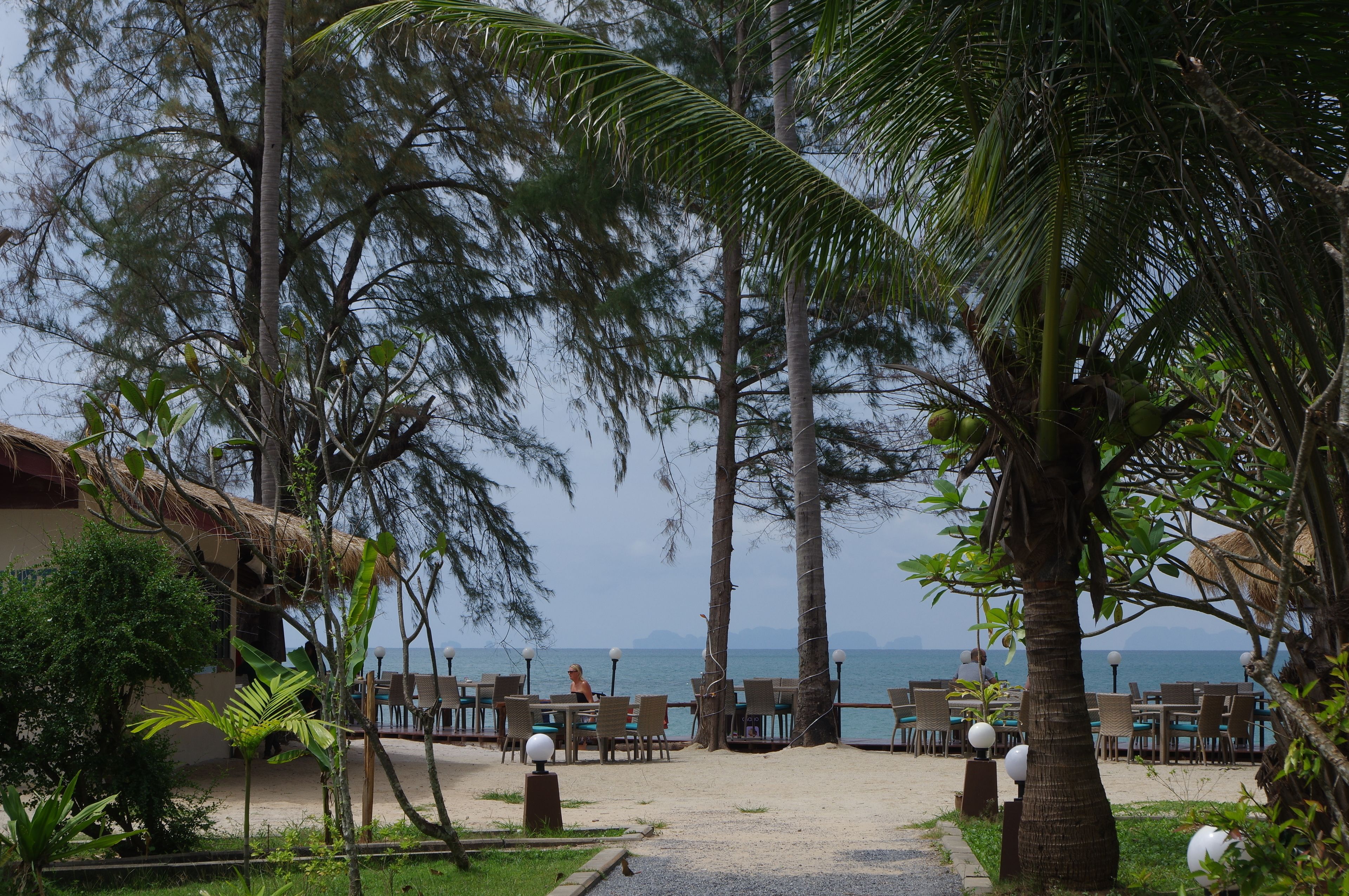 A beachside restaurant with outdoor seating, palm trees, and a view of the sea.