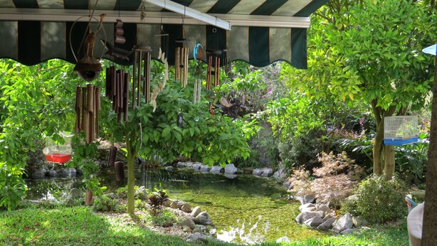 Un jardin avec un étang, des rochers et différentes sortes de plantes.