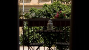 A view of a building with classical architecture, including arched windows and columns, through a window with a metal frame. - Nuvole Barocche (Lecce)