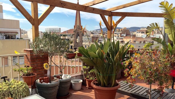 A rooftop garden with potted plants, a small fountain, and a view of the cityscape. - The Sky Dome (Barcelona)